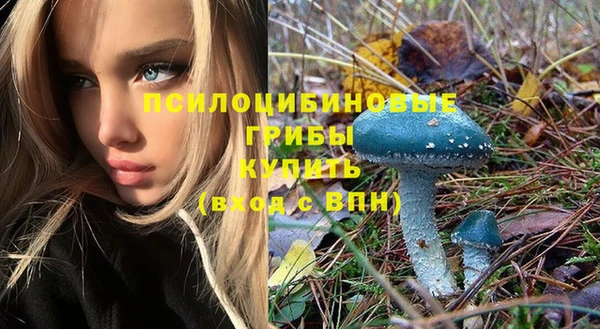 таблы Верея